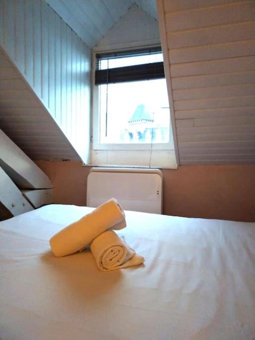 Au Chateau Perche ~ Hypercentre ~ Vue Chateau Apartment Pau