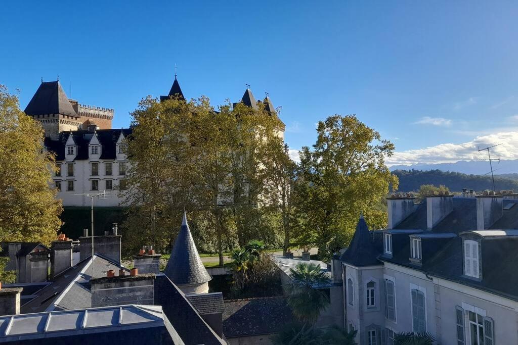 Au Chateau Perche ~ Hypercentre ~ Vue Chateau Pau